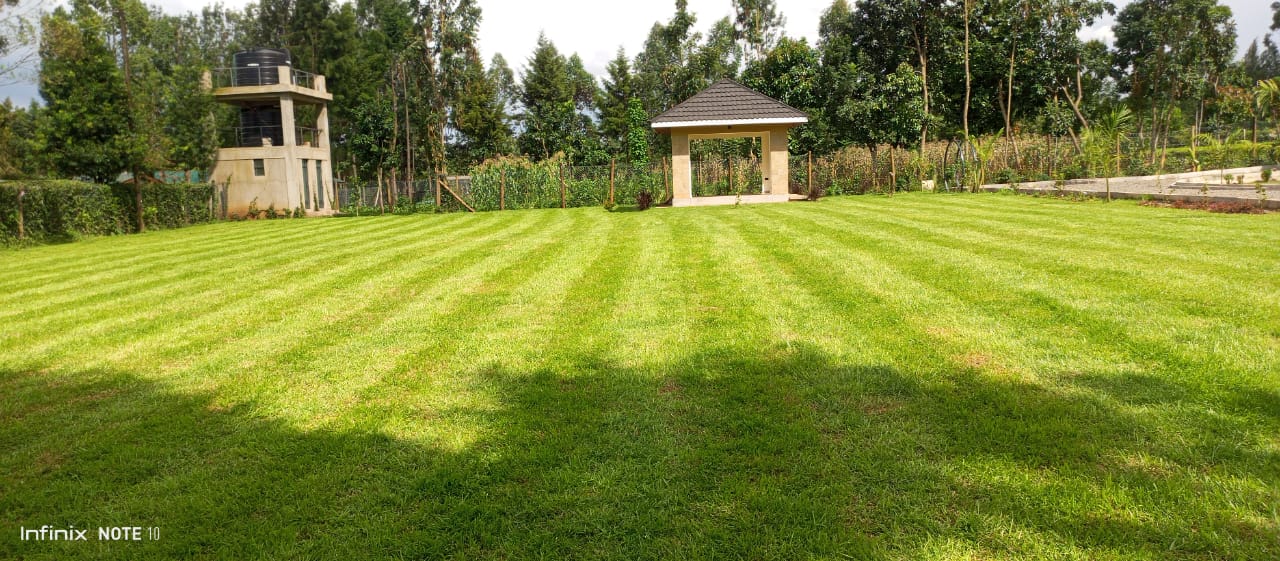 Afroscape landscaping project